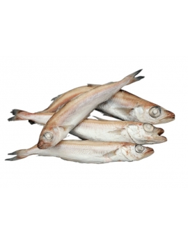 Merlan bleu 2kg