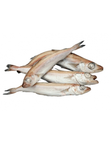 Merlan bleu 2kg