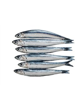 Anchois 2kg