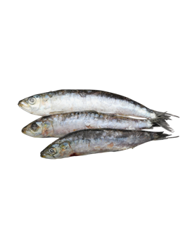 Sardines 2kg
