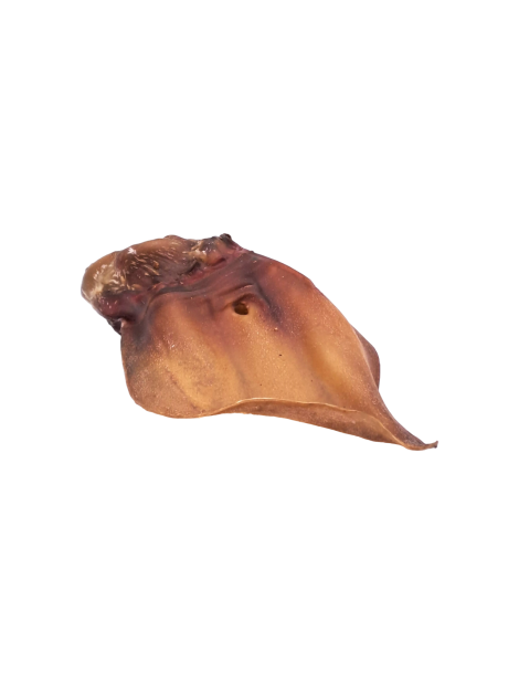 Oreilles de bœuf 1 pièce