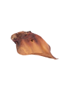 Oreilles de bœuf 1 pièce