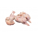 Caille entière sans plume 6kg