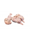 Cailles sans plumes 6kg